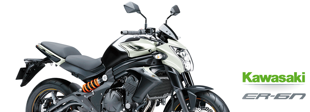 Kawasaki ER6n V2 Kawasaki ER6n V2