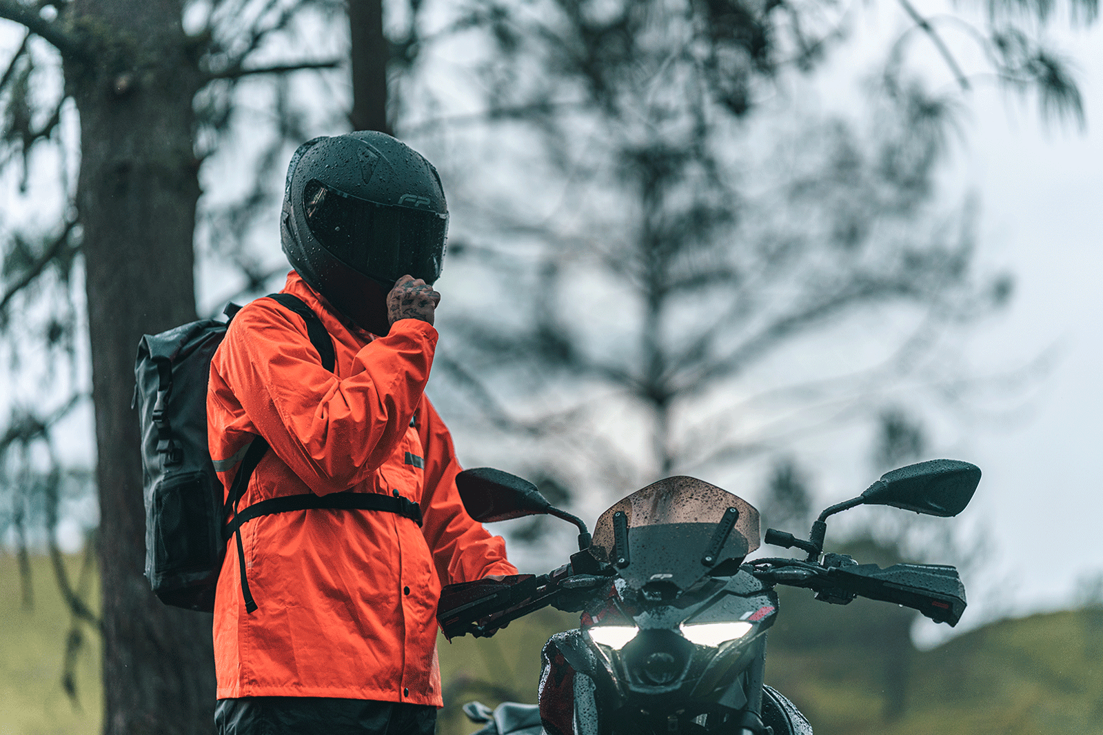 Impermeable storm gris