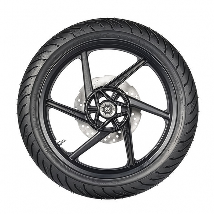 Pista RR 110/70-17 TL