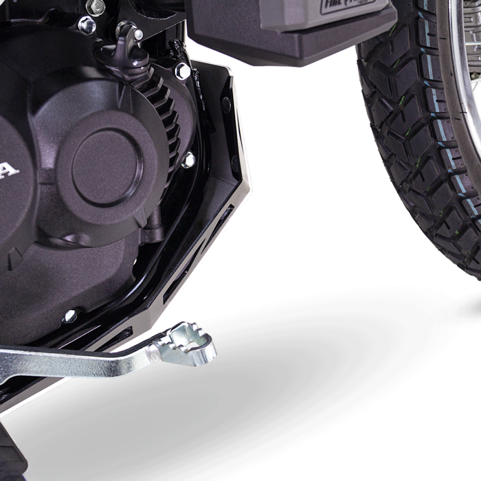 Pechera para Moto Económico