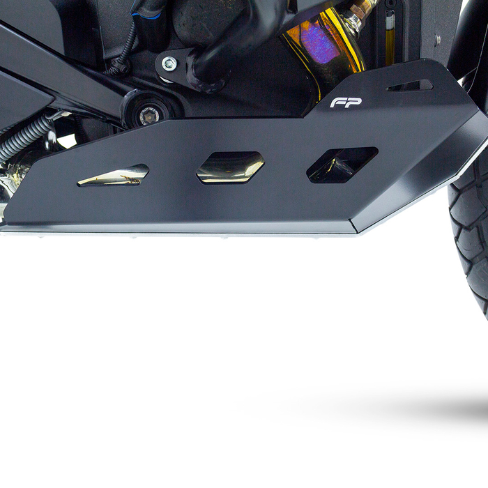 Protector carter bmw r1300gs