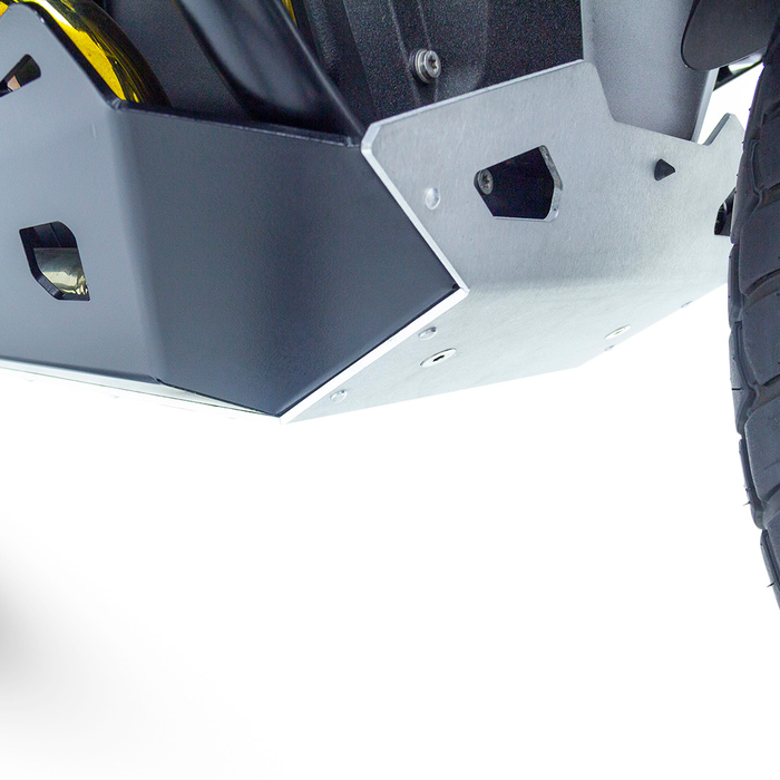 Protector carter bmw r1300gs