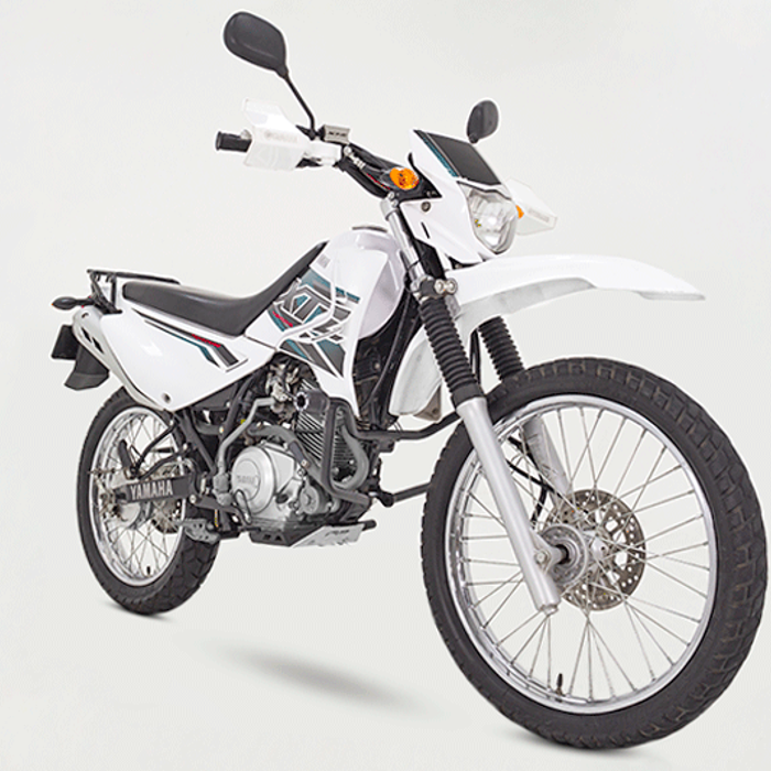 Yamaha XTZ 125 con Protector