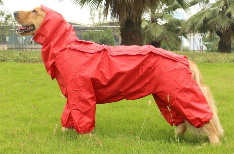 Impermeable para Perros